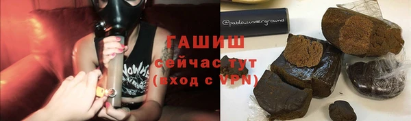 шишки Кодинск